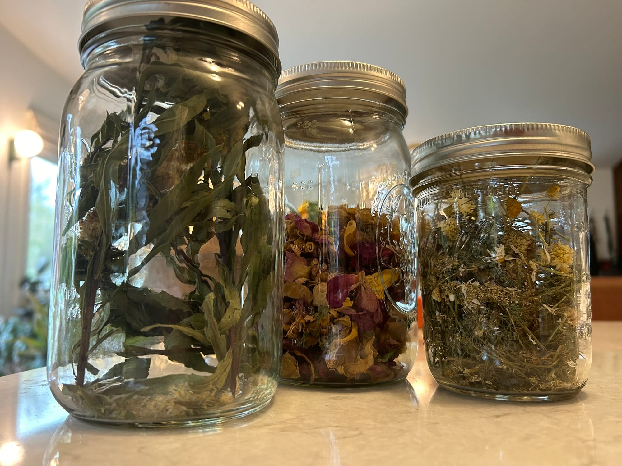 Photo of lemon verbena, rose petals, and chamomile dried and in their own clear jars for tea making