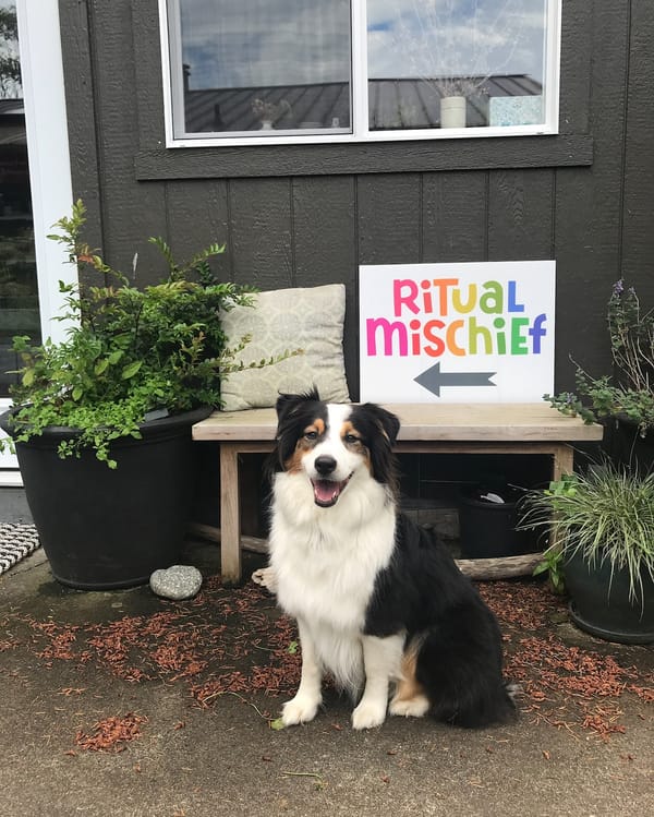 A photo of an black and white Australian shepherd dog with a rainbow-colored "Ritual Mischief" sign beside her and an arrow pointing to her.