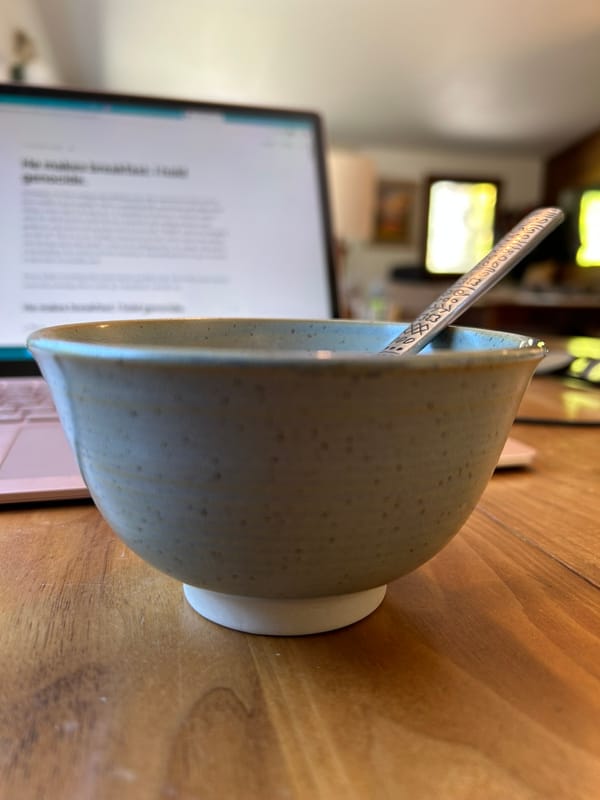 A gray-green bowl that held our breakfast this morning 